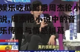 娱乐吃瓜蜀黍周杰伦小说,周杰伦小说中的音乐传奇与情感纠葛