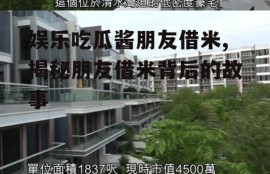 娱乐吃瓜酱朋友借米,揭秘朋友借米背后的故事