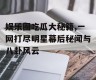 娱乐圈吃瓜大秘籍,一网打尽明星幕后秘闻与八卦风云