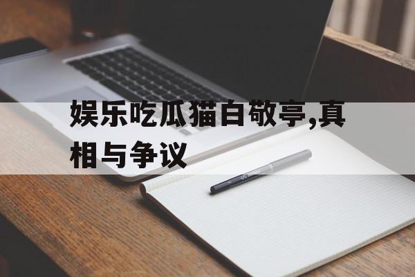 娱乐吃瓜猫白敬亭,真相与争议