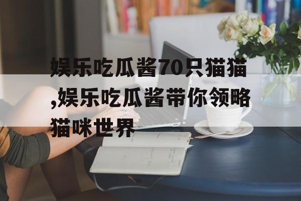 娱乐吃瓜酱70只猫猫,娱乐吃瓜酱带你领略猫咪世界